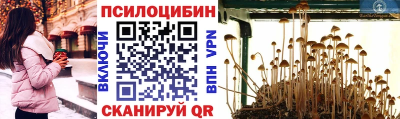 наркотики  Красноярск  Галлюциногенные грибы мухоморы 